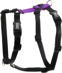 image of dog harness